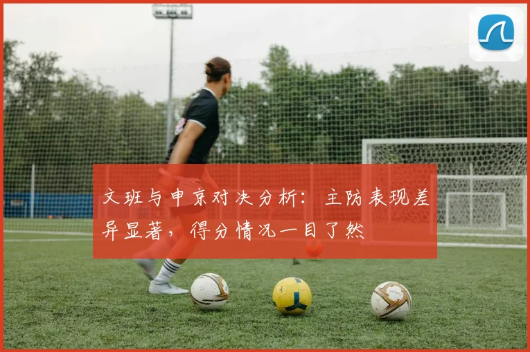 文班与申京对决分析：主防表现差异显著，得分情况一目了然