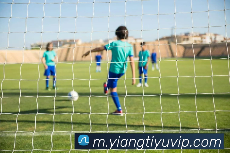 App Interface Preview