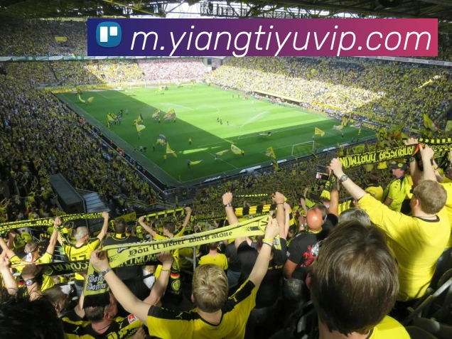 意昂体育APP 封面图